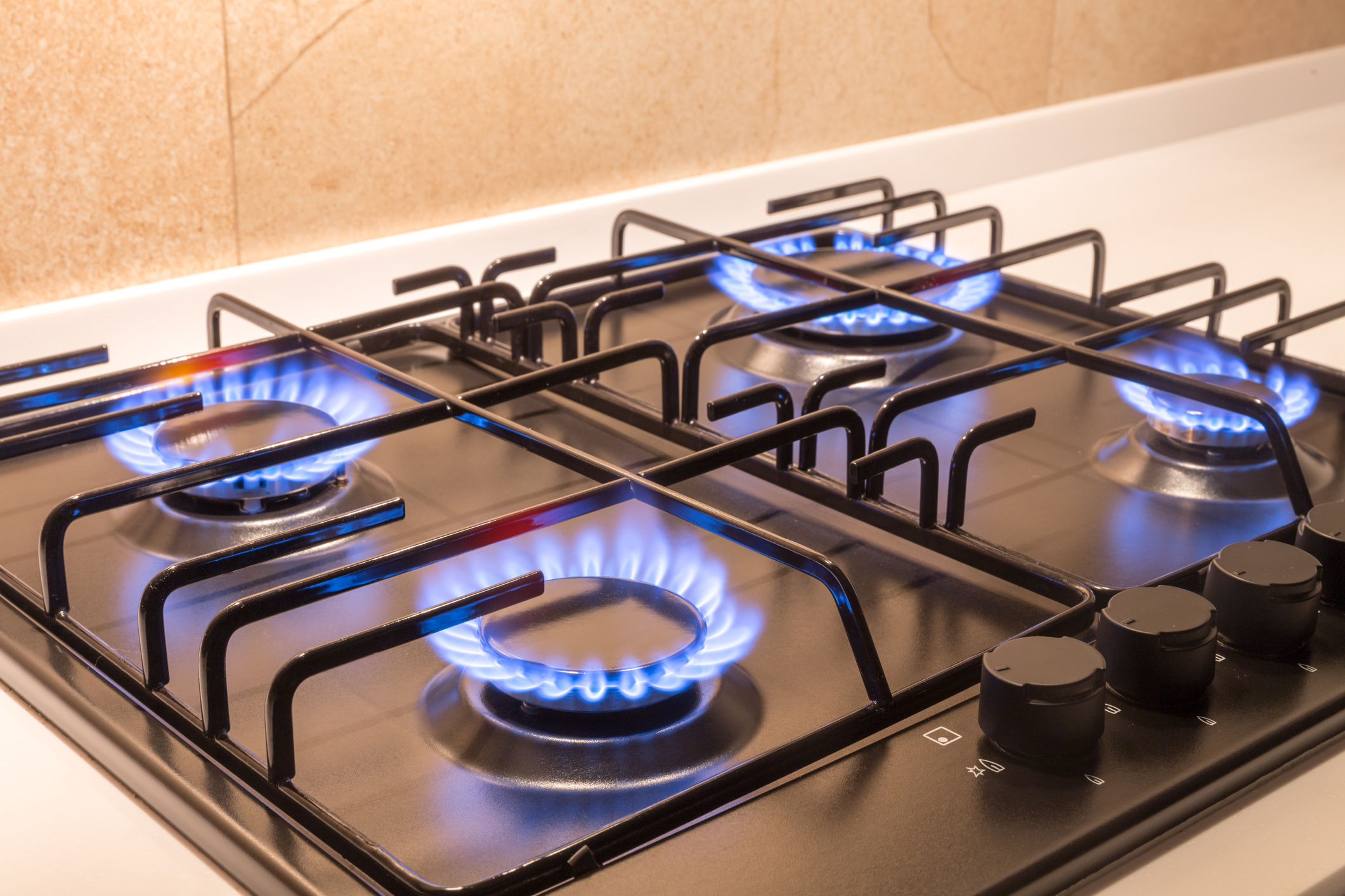 Natural Gas Burner